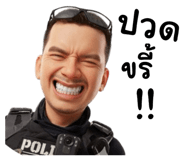 794156931