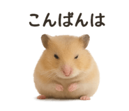 794158931