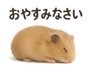 794158935