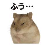 794158942