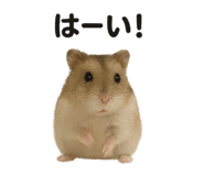 794158945