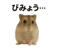 794158946