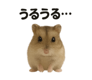 794158949