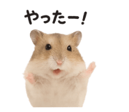 794158953