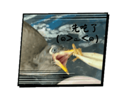 794180706