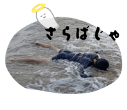 794187313