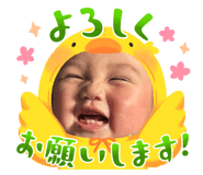 794188520
