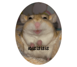 794190140