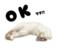 794238179