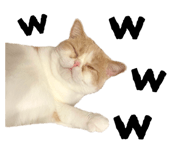794238182