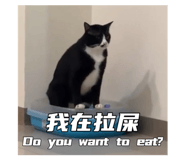 794241817