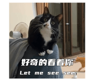 794241820