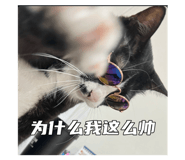794241826