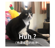 794241827