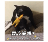 794241828