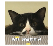 794241838