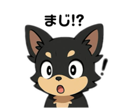 794243399