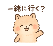 794245535