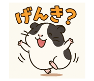 794247264