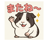 794247269