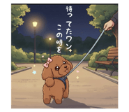 794247537