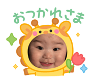 794251127