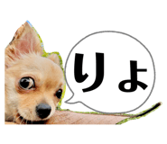 794257812