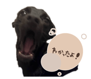 794258010