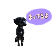 794258011