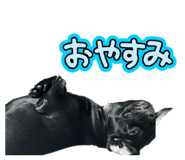 794258012