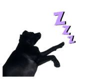 794258014