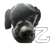 794258021