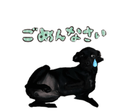 794258026