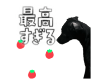 794258029