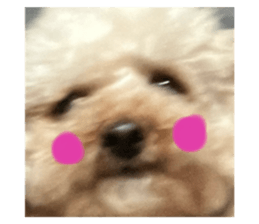 794288195