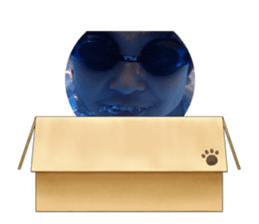 794288225