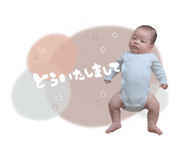 794288554