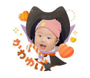 794293065