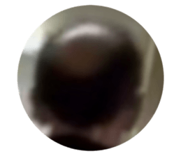 794294071