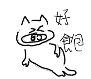 794296173
