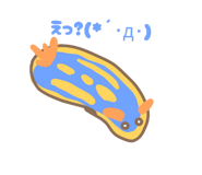 794296915