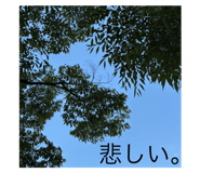 794302042