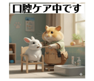 794302141