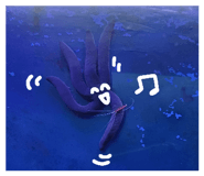 794326394