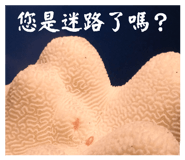 794326408