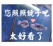 794326414