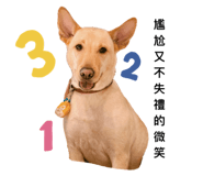 794330381