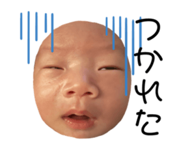 794340264