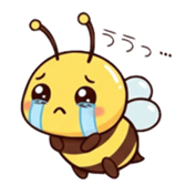 794340809