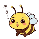 794340810